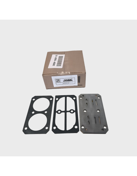 Plate Kit F6112518 for Pump...
